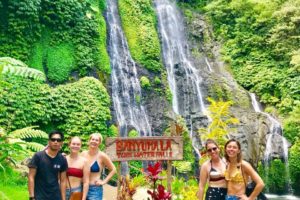 bali full day tour package